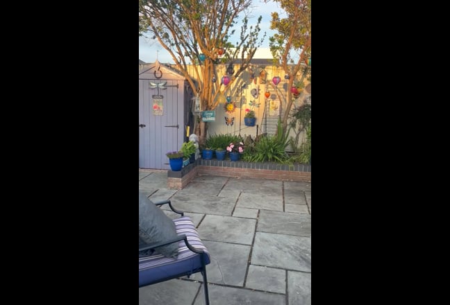 1 bed garden annexe  Main Photo