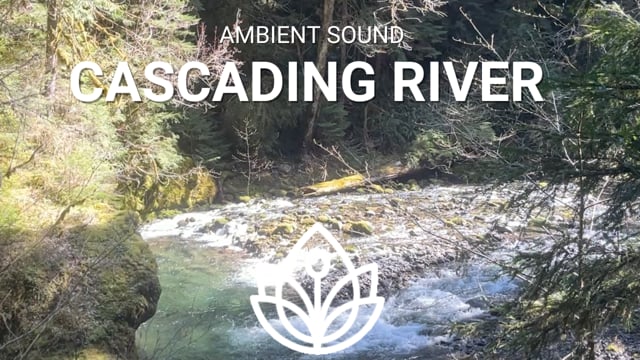 NEW! Ambient Sound - Cascading River