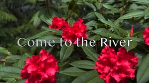 Come to the River
