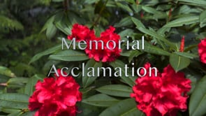 Memorial Acclamation