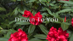Drawn To You