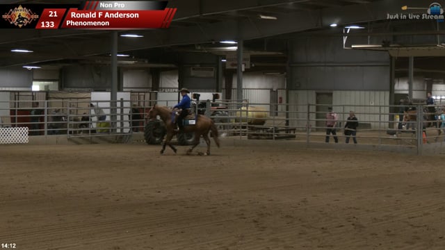 #133 Ronald F Anderson