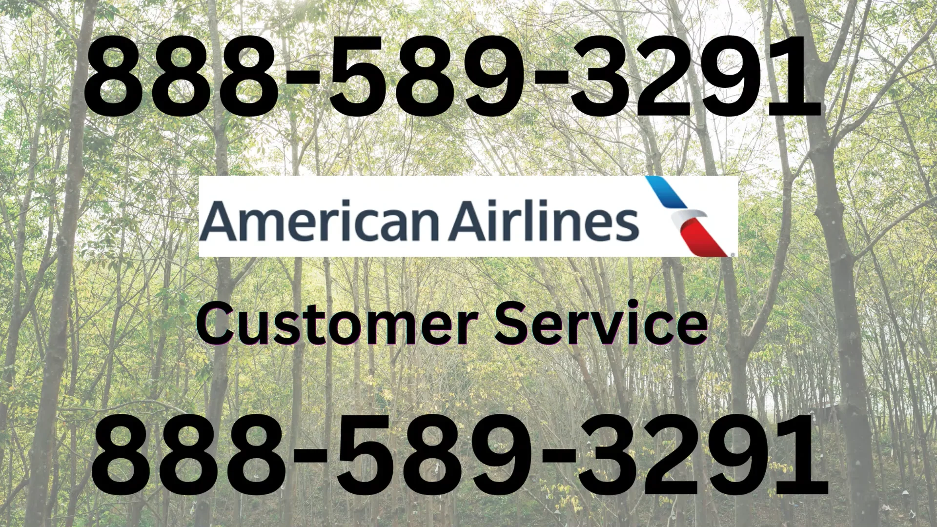 {USA} Complete Guide to American Airlines&reg; Customer&trade; Service Numbers in the 24/7 help and Quick Response