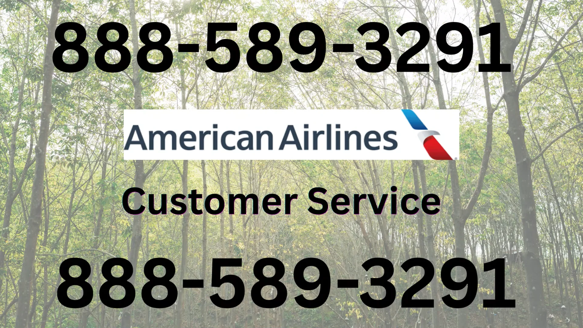 {USA} Complete Guide to American Airlines&reg; Customer&trade; Service Numbers in the 24/7 help and Quick Response