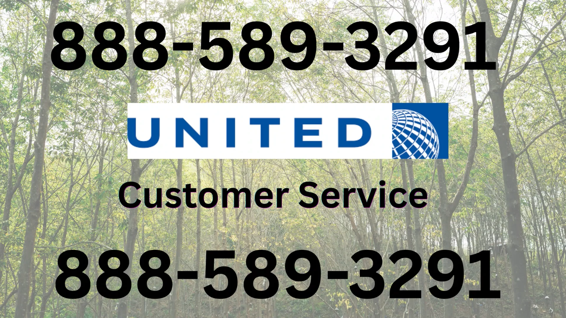 {USA} Complete Guide to United Airlines&reg; Customer&trade; Service Numbers in the 24/7 help and Quick Response