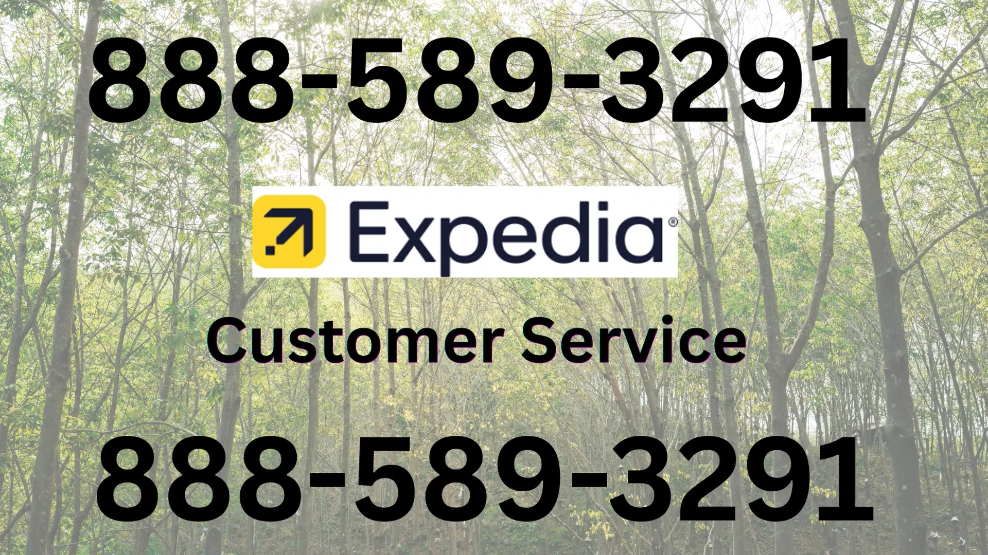 {USA} Complete Guide to Expedia&reg; Customer&trade; Service Numbers in the 24/7 help and Quick Response