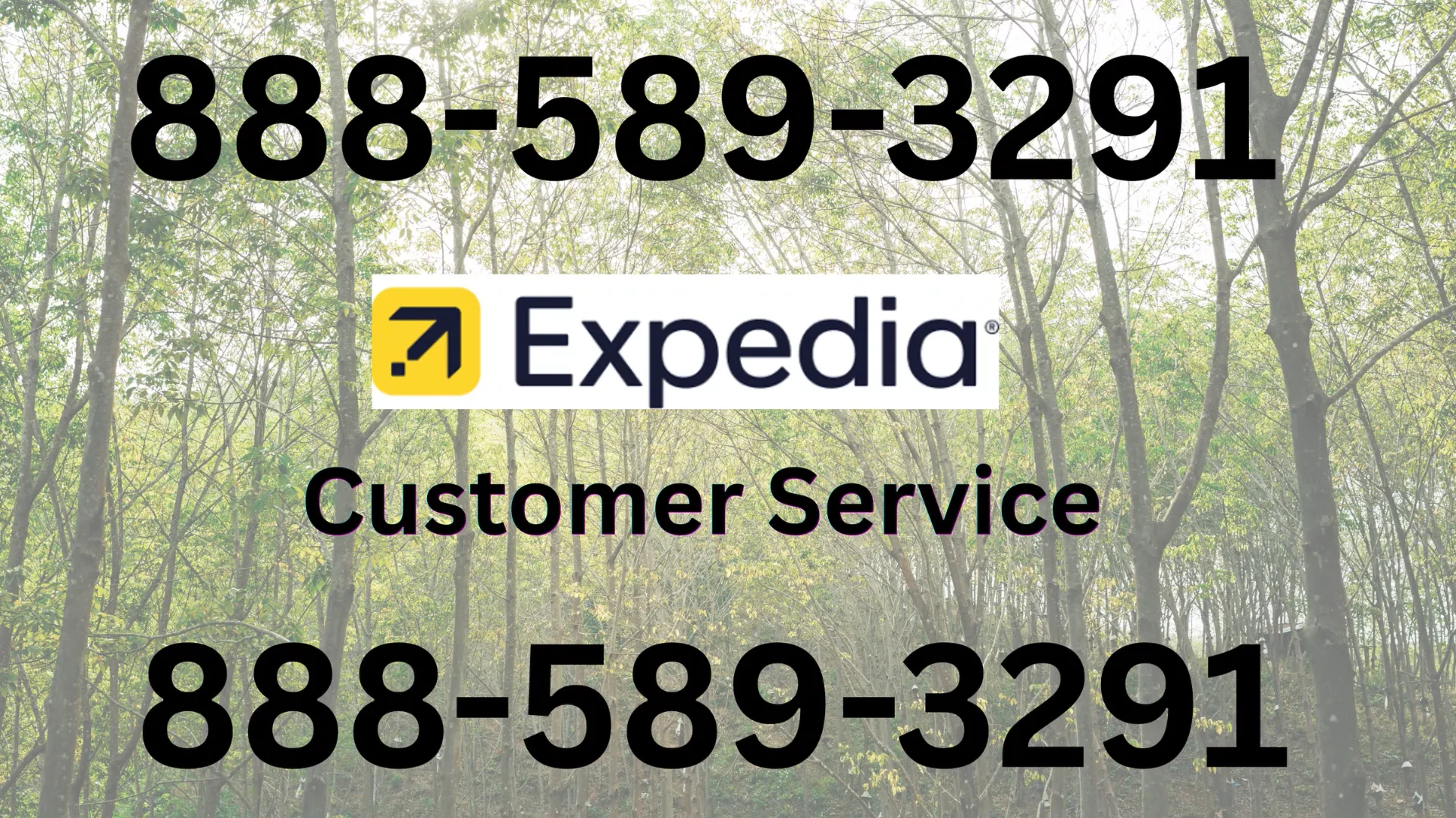 ✵&bull;.&cedil;,✵&deg;✵.｡.✰ Expedia&reg; Customer Service Full Guide = Step-by-Step Help & Support 24/7 Expedia ✰.｡.✵&deg;✵,&cedil;.&bull;