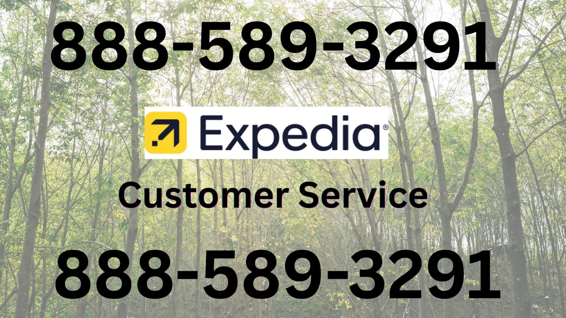 ✵&bull;.&cedil;,✵&deg;✵.｡.✰ Expedia&reg; Customer Service Full Guide = Step-by-Step Help & Support 24/7 Expedia ✰.｡.✵&deg;✵,&cedil;.&bull;