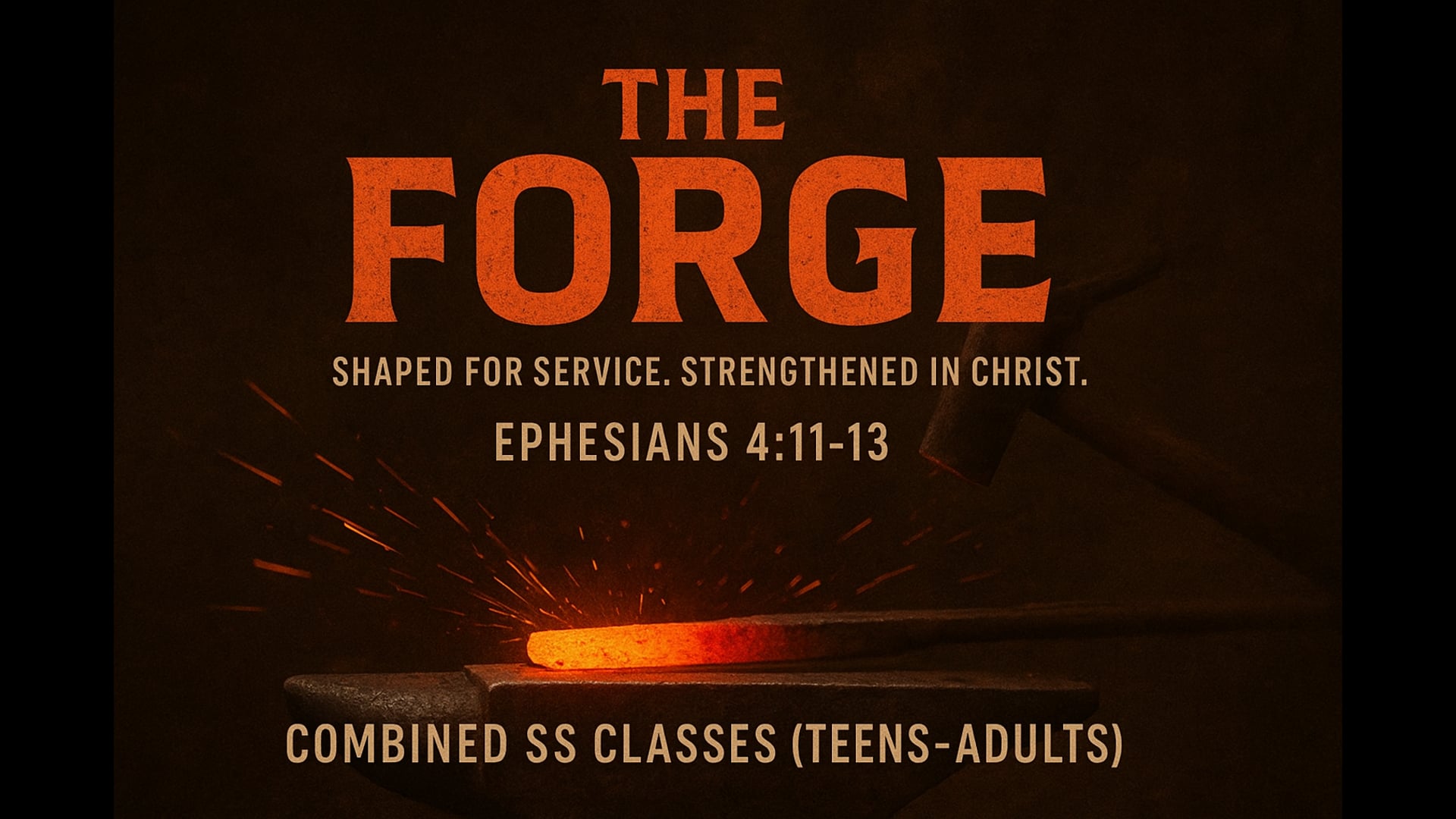 Session 8- How to Study the Bible