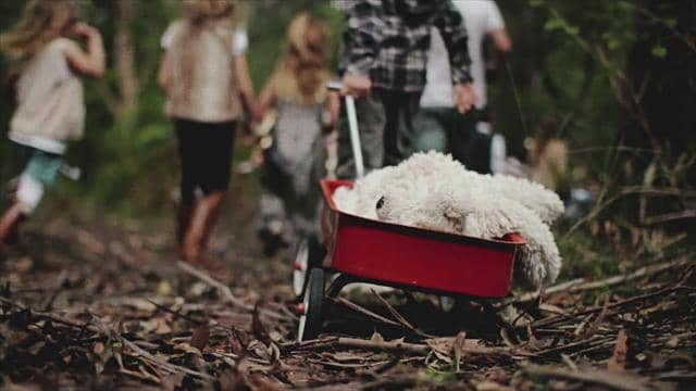 Born Is The King It s Christmas On Vimeo