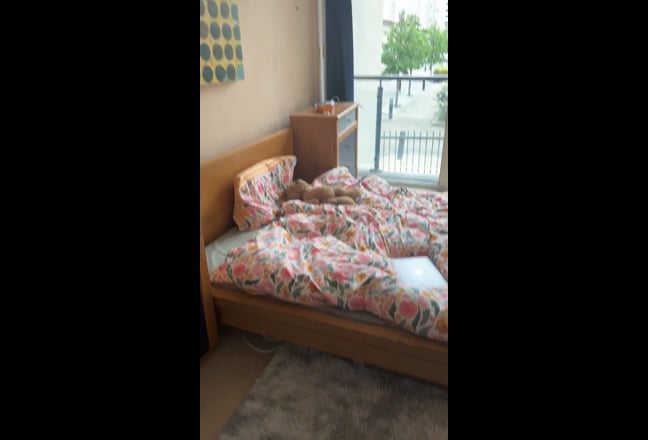 Brilliant En-suite in Canary Wharf Available now Main Photo