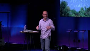 Related Embedded Video Item Thumbnail