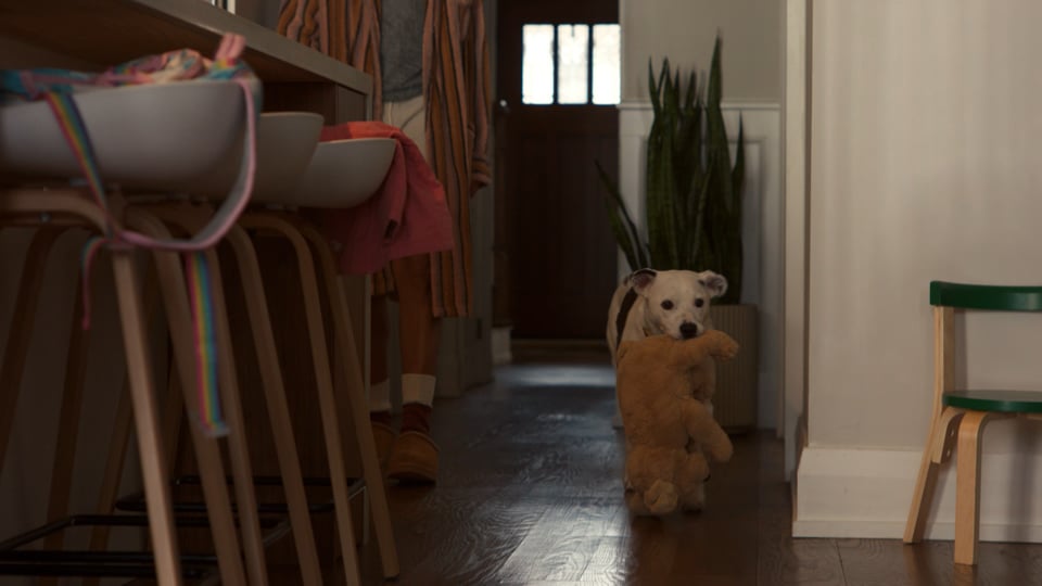 Freshpet | Kitchen Conversations