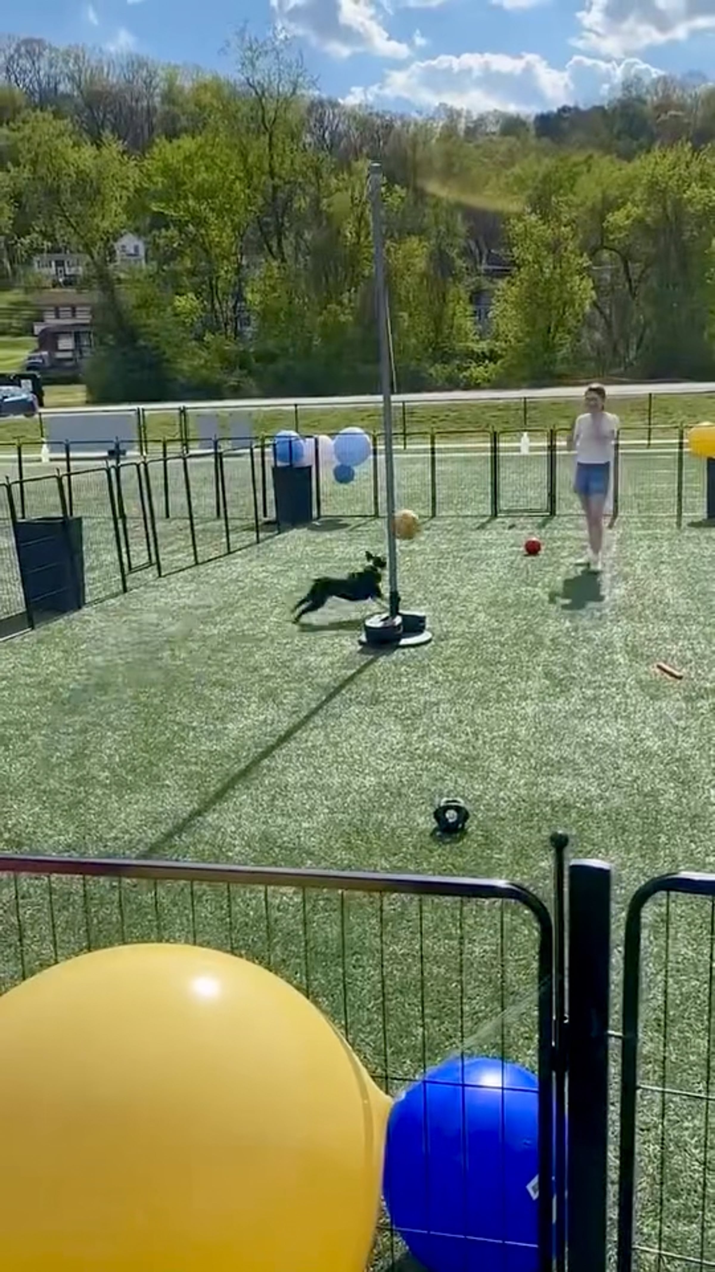 Tether Ball Video | Videos & Movies on Vimeo