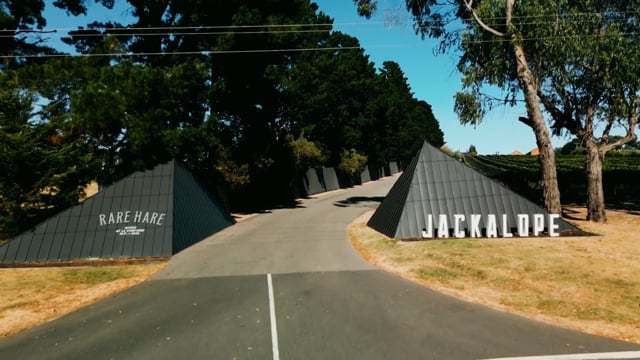 Honda × Jackalope 2024 | Interviews