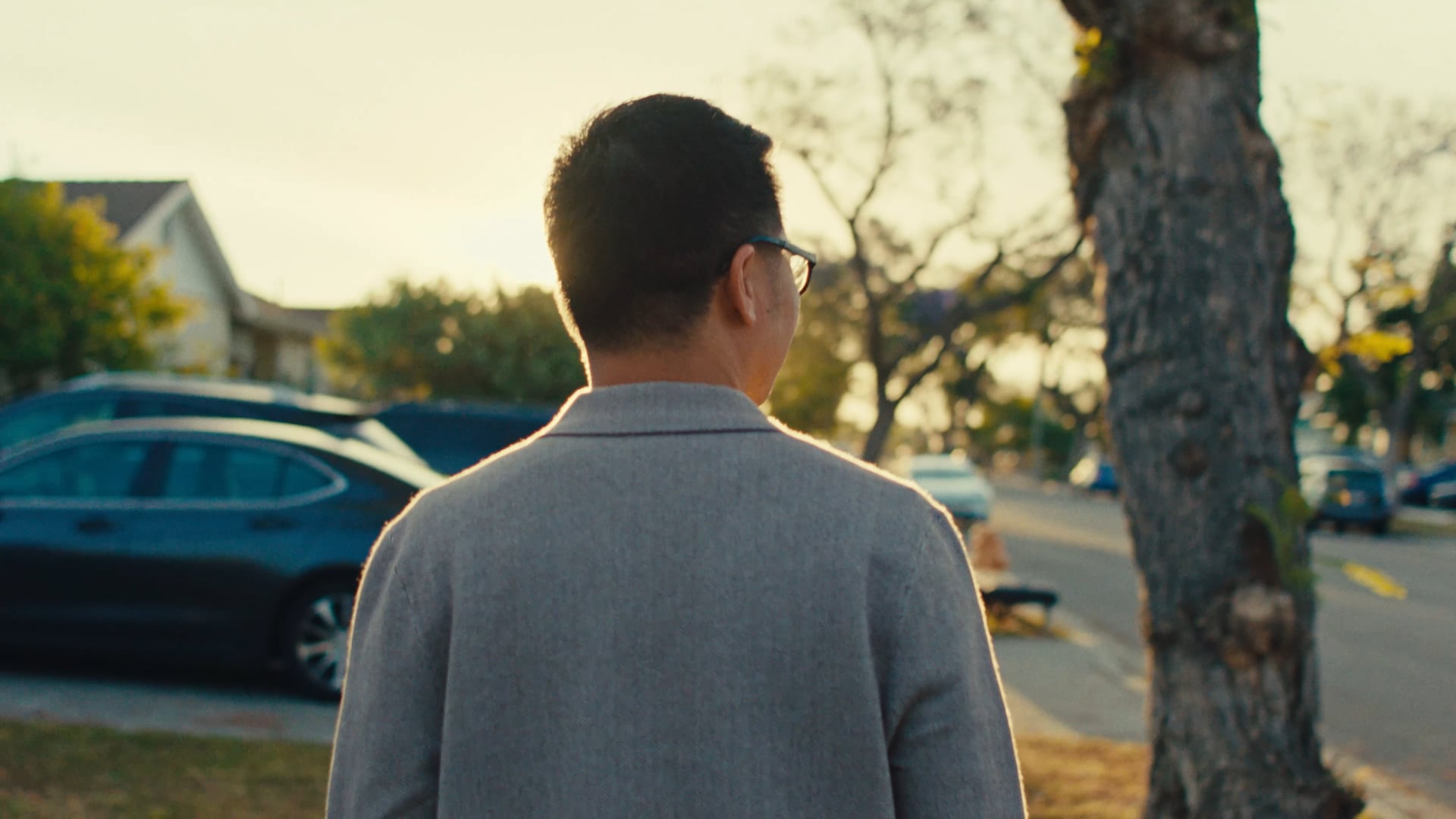 HIEU NGUYEN GARDEN GROVE CAMPAIGN