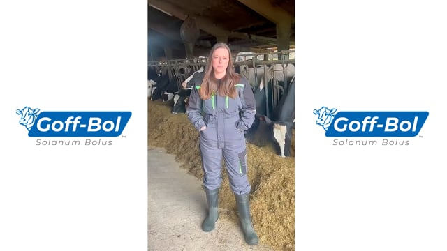 "As vacas teñen un mellor arranque, chegando antes ao pico de lactación e sendo este máis alto"