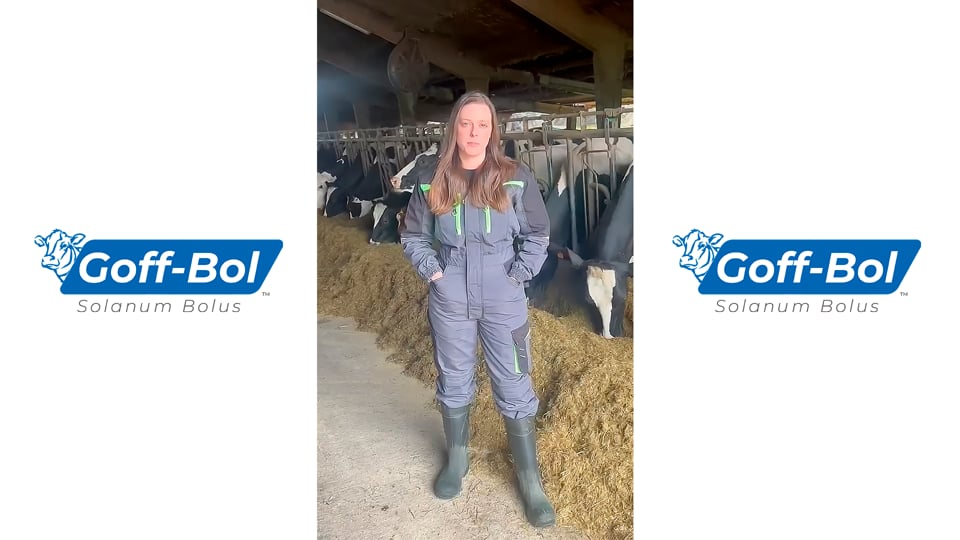 Goff-Bol, de Inatega, resultados probados en granja
