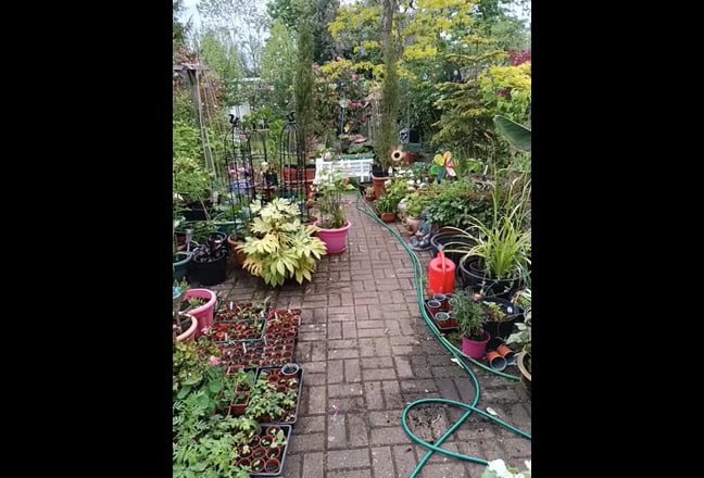 Lovely room available in friendly gay house share Main Photo