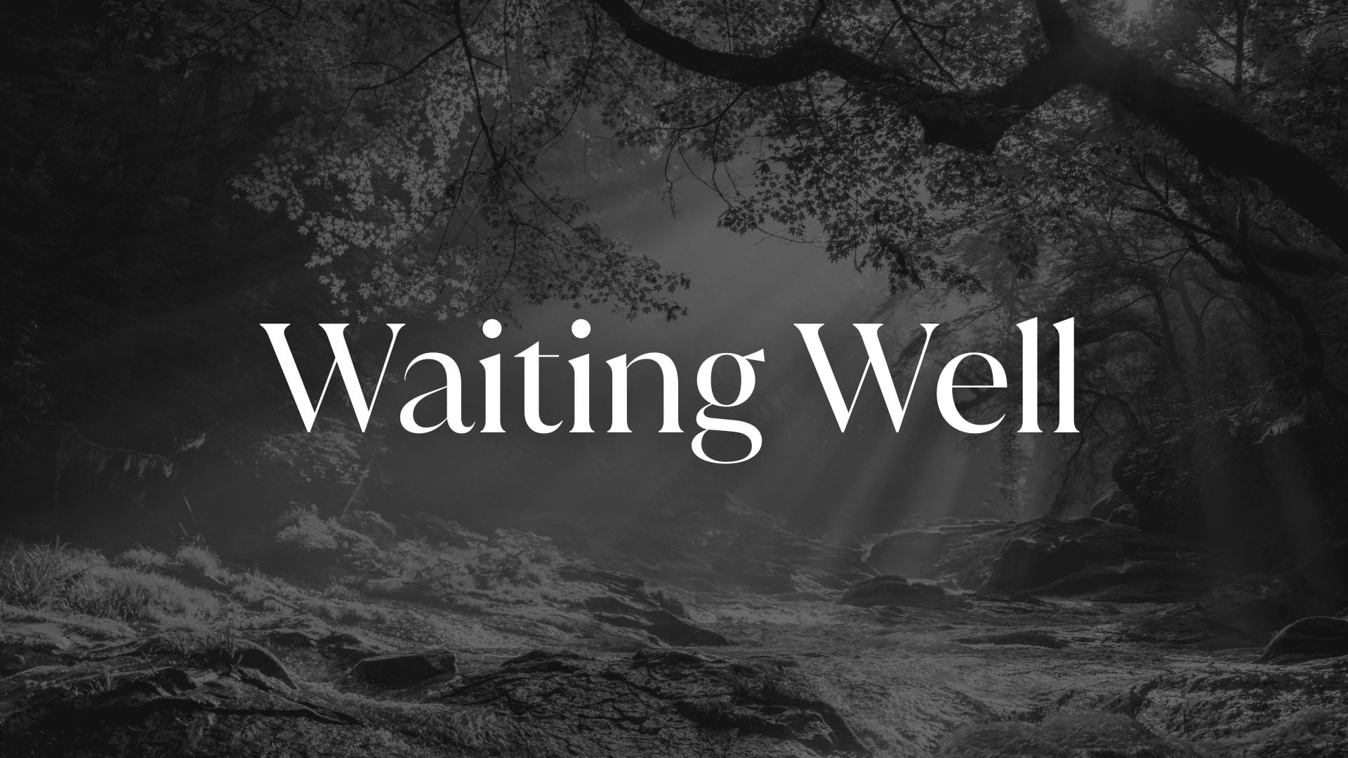 5.3.26 - Waiting Well