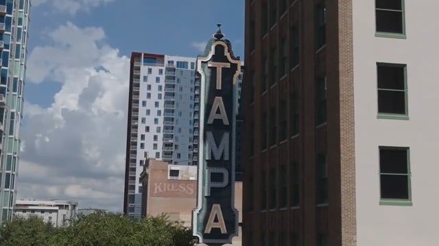 Video preview