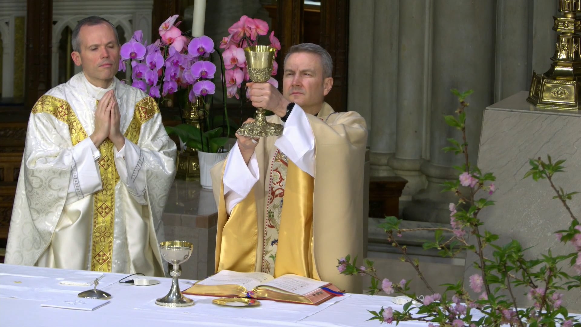Mass from St. Patrick's Cathedral - May 5, 2026