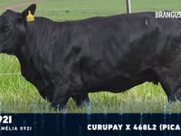 Lote 02