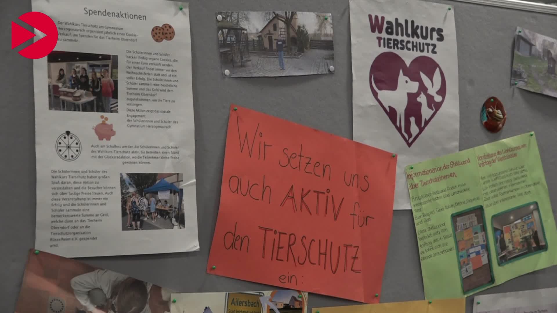 Video Vorschaubild Tierschutz geht uns alle an