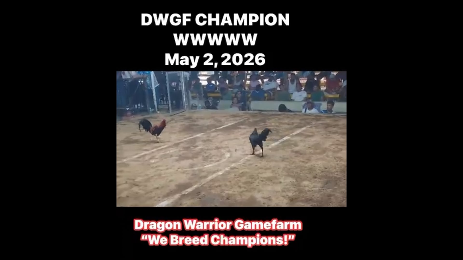 DWGF Champion | May 2, 2026 | Video 1