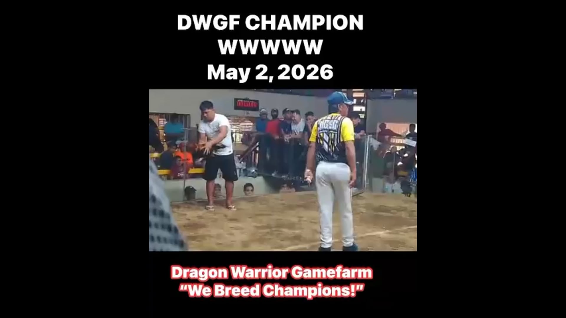 DWGF Champion | May 2, 2026 | Video 4