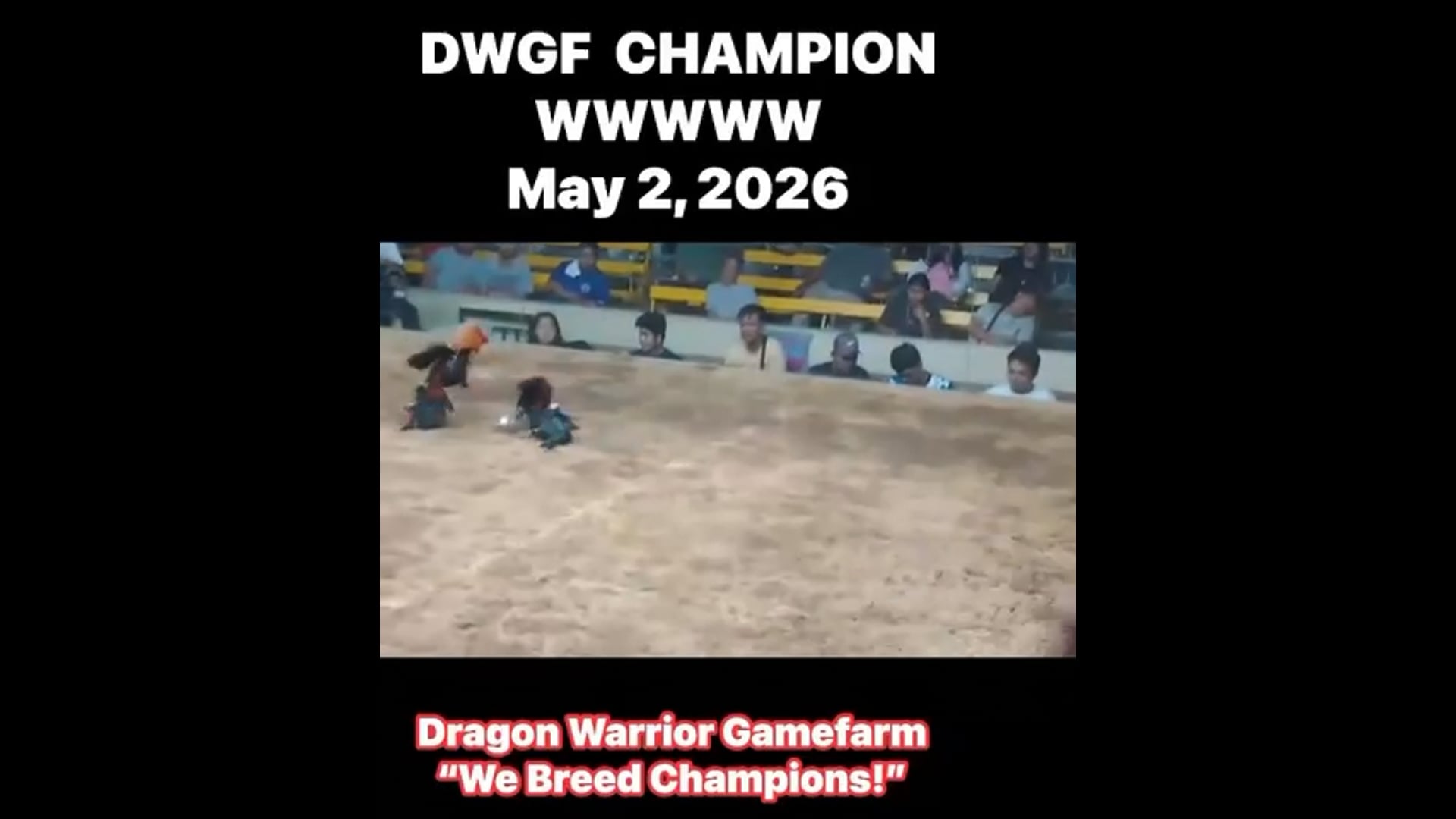 DWGF Champion | May 2, 2026 | Video 3