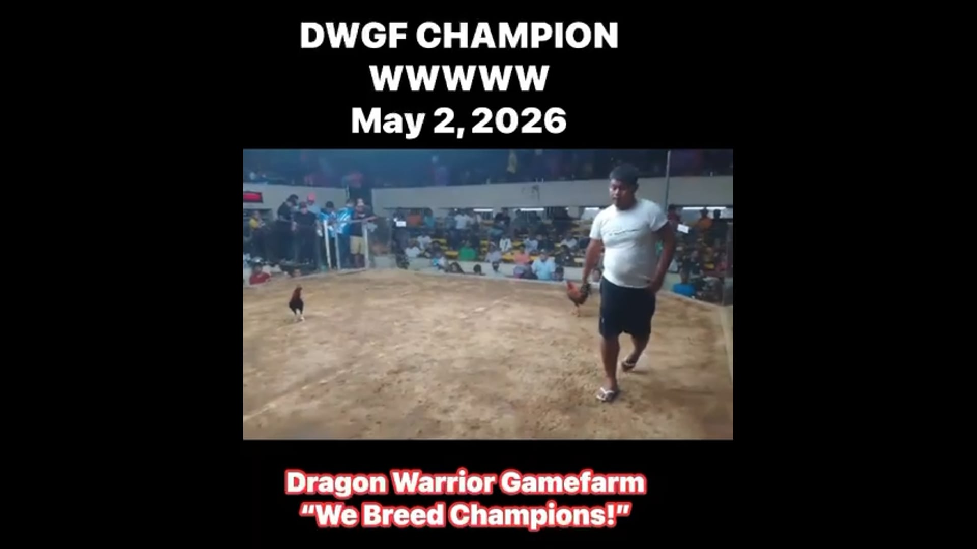 DWGF Champion | May 2, 2026 | Video 2