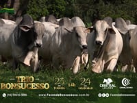 Grandes Criatórios<br>Bonsucesso