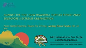 AGAINST THE TIDE: HOW HAWKSBILL TURTLES PERSIST AMID SINGAPORE’S EXTREME URBANIZATION