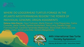 WHERE DO LOGGERHEAD TURTLES FORAGE IN THE ATLANTO-MEDITERRANEAN REGION? THE POWER OF INDIVIDUAL GENOMIC ORIGIN ASSIGMENTS