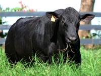 Lote 90