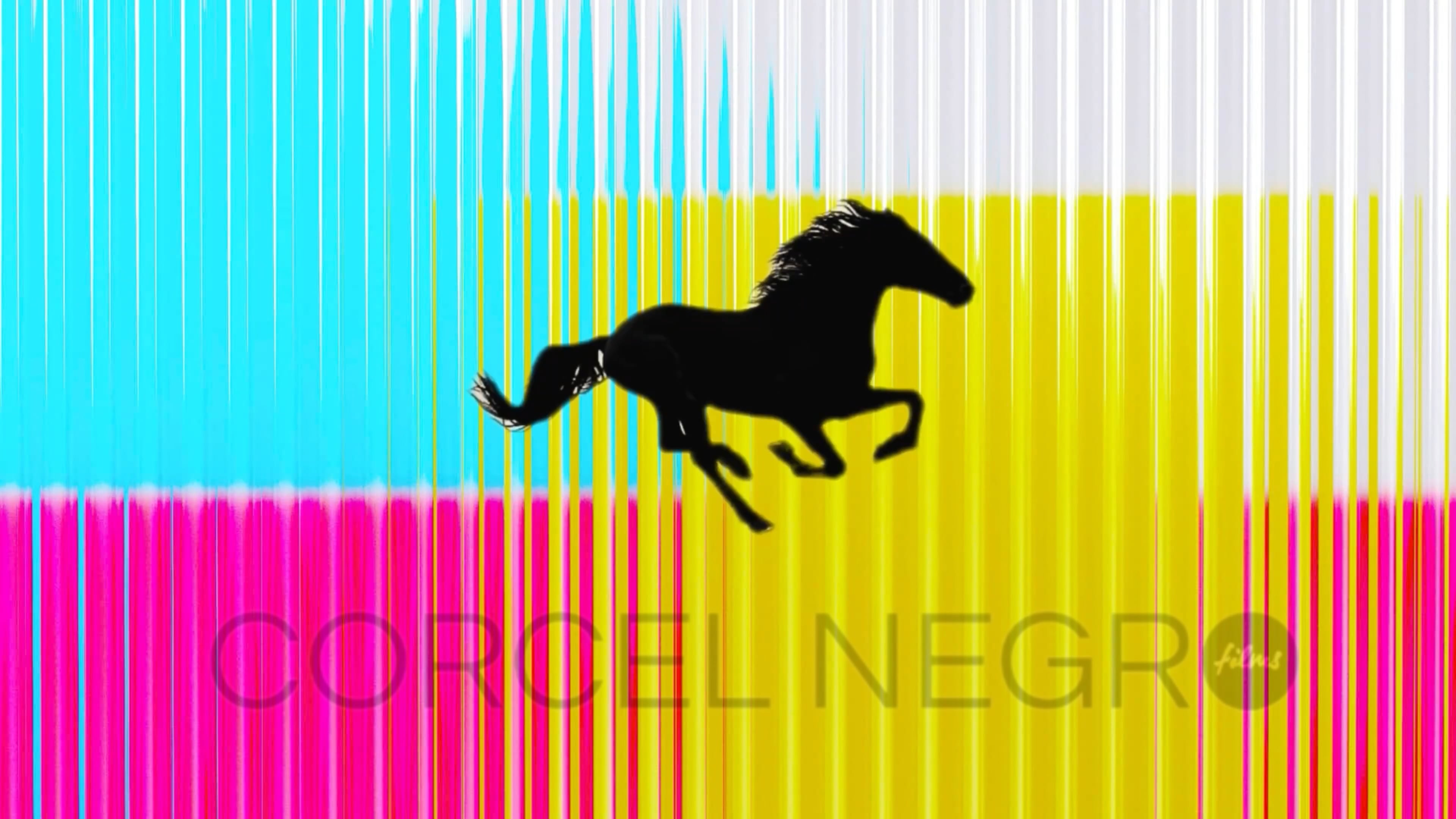 https://i.vimeocdn.com/video/2154554320-39193da2283c29b43ac678634d7473ecefd8cd64b333d552cf0d69707ec5b158-d