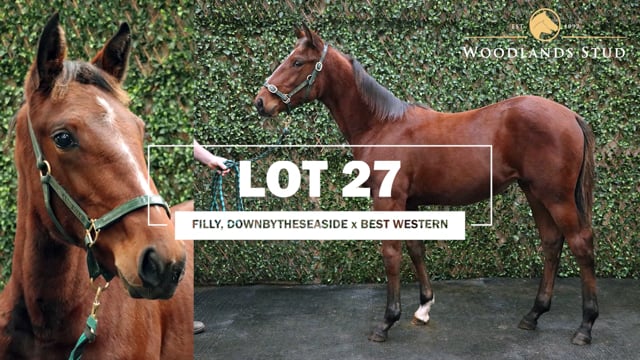 Lot 27
