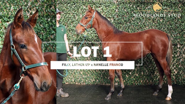 Lot 1