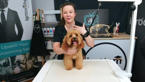 Puppy's 1st Full Groom | 18 Minutes