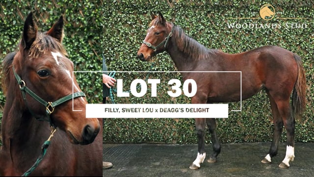 Lot 30