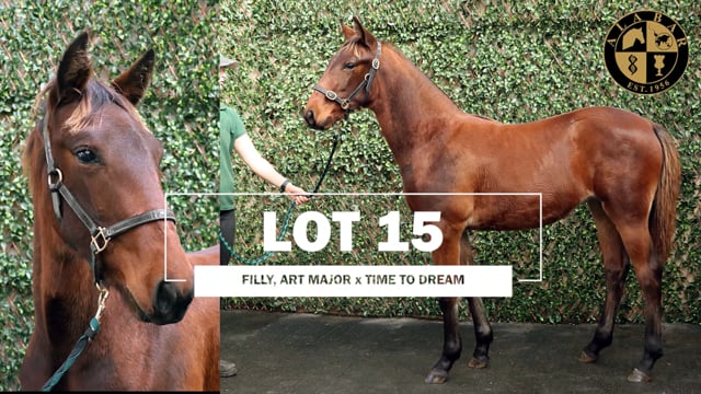 Lot 15