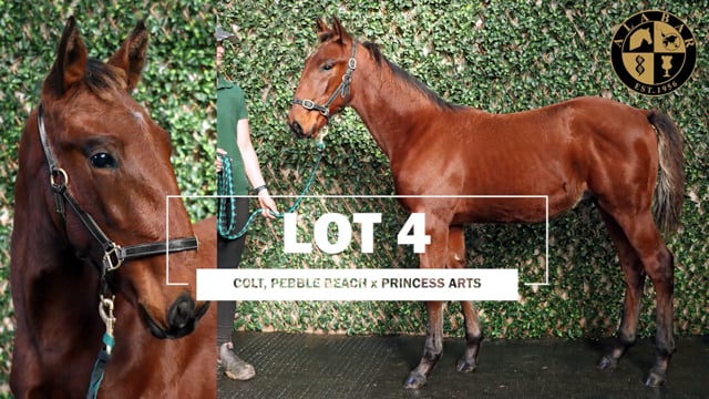 Lot 4