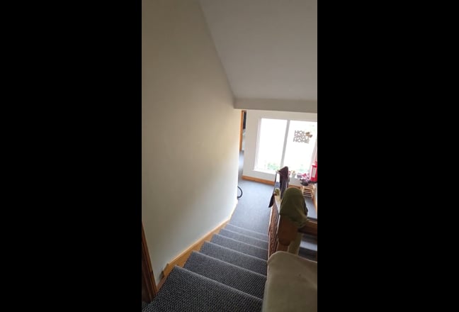 Video 1: Room to let