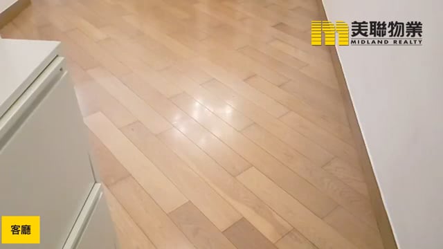 天晋 将军澳 低层 1847110 售盘