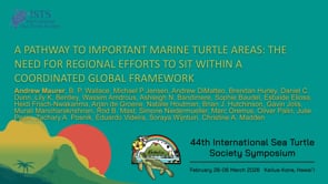 A PATHWAY TO IMPORTANT MARINE TURTLE AREAS: THE NEED FOR REGIONAL EFFORTS TO SIT WITHIN A COORDINATED GLOBAL FRAMEWORK