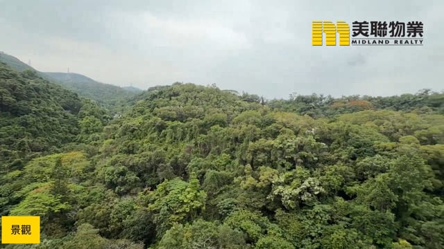 PEAK ONE PH 01 BLK 01 Shatin H 1840020 For Buy