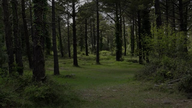 La Mussara, un llindar