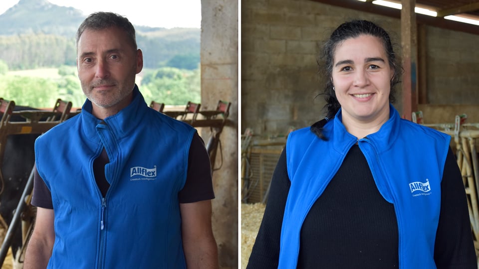 Lectores Allflex, precisión e rapidez para a xestión de datos con MSD Animal Health