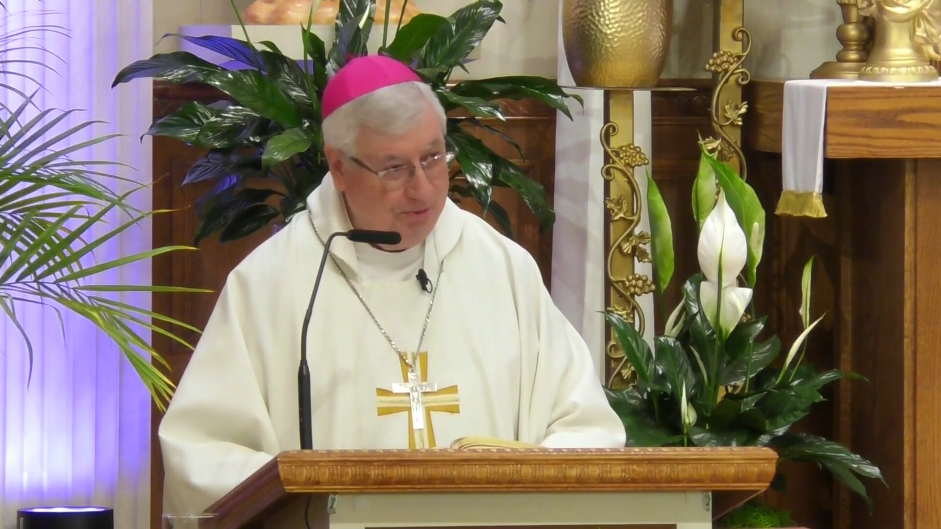 Misa de Nuestra Senora de Loretto - 8 de Mayo de 2026
